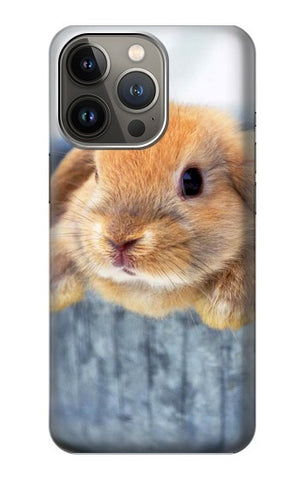 iPhone 13 Pro Max Hard Case Cute Rabbit