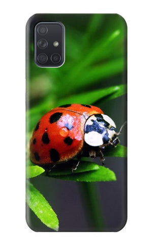 Samsung Galaxy A71 5G Hard Case Ladybug