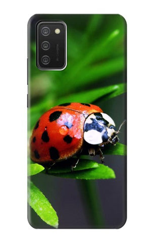 Samsung Galaxy A03S Hard Case Ladybug