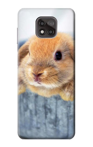 Motorola Moto G Power (2021) Hard Case Cute Rabbit