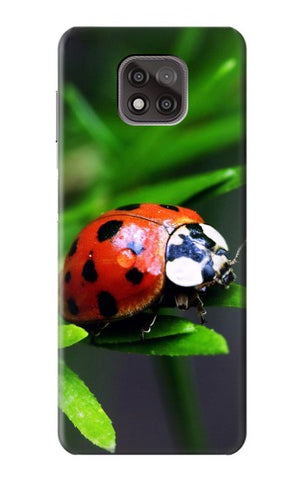 Motorola Moto G Power (2021) Hard Case Ladybug