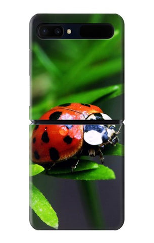 Samsung Galaxy Galaxy Z Flip 5G Hard Case Ladybug
