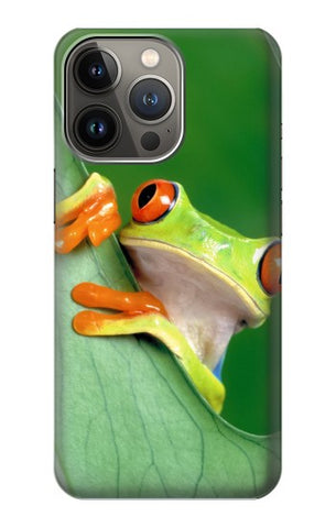 Apple iPhone 14 Pro Max Hard Case Little Frog