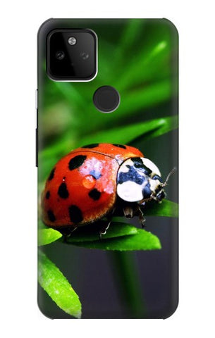 Google Pixel 5A 5G Hard Case Ladybug