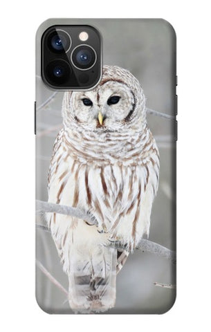 iPhone 12 Pro, 12 Hard Case Snowy Owl White Owl