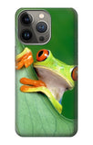 iPhone 13 Pro Max Hard Case Little Frog