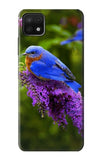 Samsung Galaxy A22 5G Hard Case Bluebird of Happiness Blue Bird