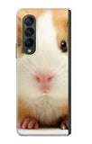 Samsung Galaxy Fold3 5G Hard Case Cute Guinea Pig