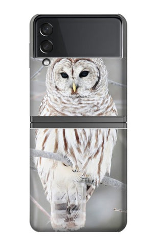 Samsung Galaxy Flip4 Hard Case Snowy Owl White Owl