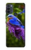 Motorola Moto G50 Hard Case Bluebird of Happiness Blue Bird