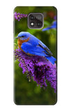 Motorola Moto G Power (2021) Hard Case Bluebird of Happiness Blue Bird