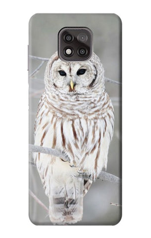Motorola Moto G Power (2021) Hard Case Snowy Owl White Owl