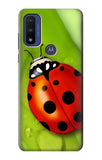 Motorola G Pure Hard Case Ladybug