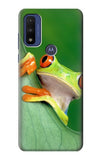 Motorola G Pure Hard Case Little Frog