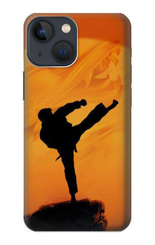 iPhone 13 Hard Case Kung Fu Karate Fighter