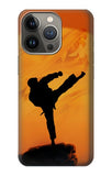 Apple iPhone 14 Pro Max Hard Case Kung Fu Karate Fighter