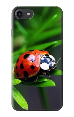 iPhone 7, 8, SE (2020), SE2 Hard Case Ladybug