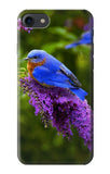 iPhone 7, 8, SE (2020), SE2 Hard Case Bluebird of Happiness Blue Bird