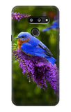 LG G8 ThinQ Hard Case Bluebird of Happiness Blue Bird