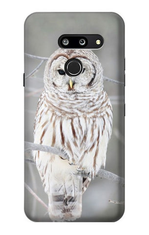 LG G8 ThinQ Hard Case Snowy Owl White Owl