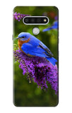 LG Stylo 6 Hard Case Bluebird of Happiness Blue Bird