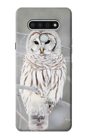 LG Stylo 6 Hard Case Snowy Owl White Owl