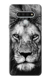 LG Stylo 6 Hard Case Lion Face