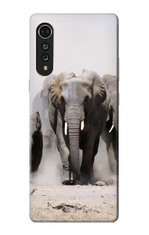LG Velvet Hard Case African Elephant