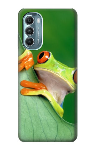 Motorola Moto G Stylus (2021), G Stylus 5G, G Stylus 5G (2022) Hard Case Little Frog