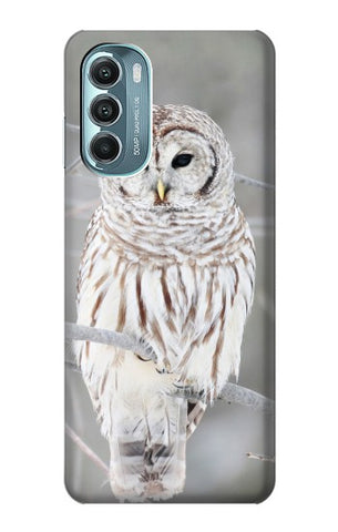 Motorola Moto G Stylus (2021), G Stylus 5G, G Stylus 5G (2022) Hard Case Snowy Owl White Owl