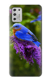 Motorola Moto G Stylus (2021) Hard Case Bluebird of Happiness Blue Bird