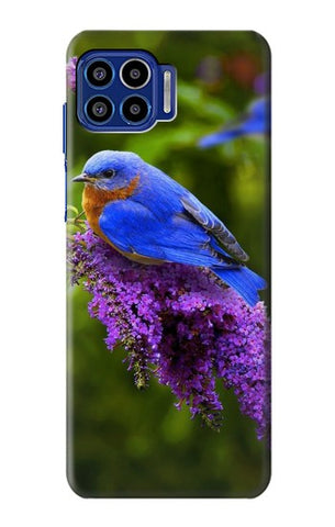 Motorola One 5G Hard Case Bluebird of Happiness Blue Bird