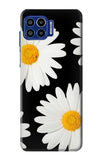 Motorola One 5G Hard Case Daisy flower