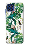 Motorola One 5G Hard Case Leaf Life Birds