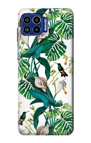 Motorola One 5G Hard Case Leaf Life Birds