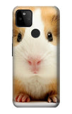 Google Pixel 5A 5G Hard Case Cute Guinea Pig