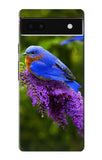 Google Pixel 6a Hard Case Bluebird of Happiness Blue Bird