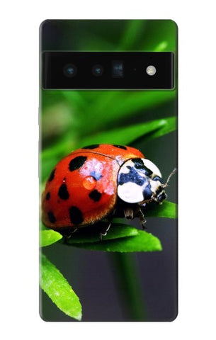 Google Pixel 6 Pro Hard Case Ladybug