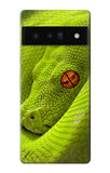 Google Pixel 6 Pro Hard Case Green Snake