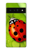 Google Pixel 6 Pro Hard Case Ladybug