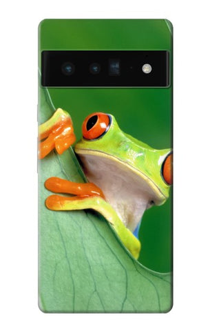 Google Pixel 6 Pro Hard Case Little Frog