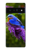 Google Pixel 6 Pro Hard Case Bluebird of Happiness Blue Bird