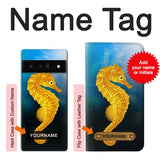 Google Pixel 6 Pro Hard Case Seahorse Underwater World with custom name