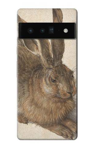 Google Pixel 6 Pro Hard Case Albrecht Durer Young Hare