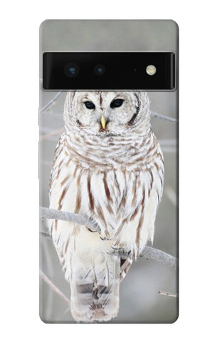 Google Pixel 6 Hard Case Snowy Owl White Owl