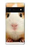 Google Pixel 6 Hard Case Cute Guinea Pig